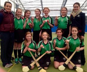 Camogs make it to the final.
