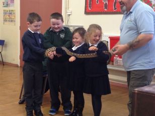World of Owls comes to visit Year 3