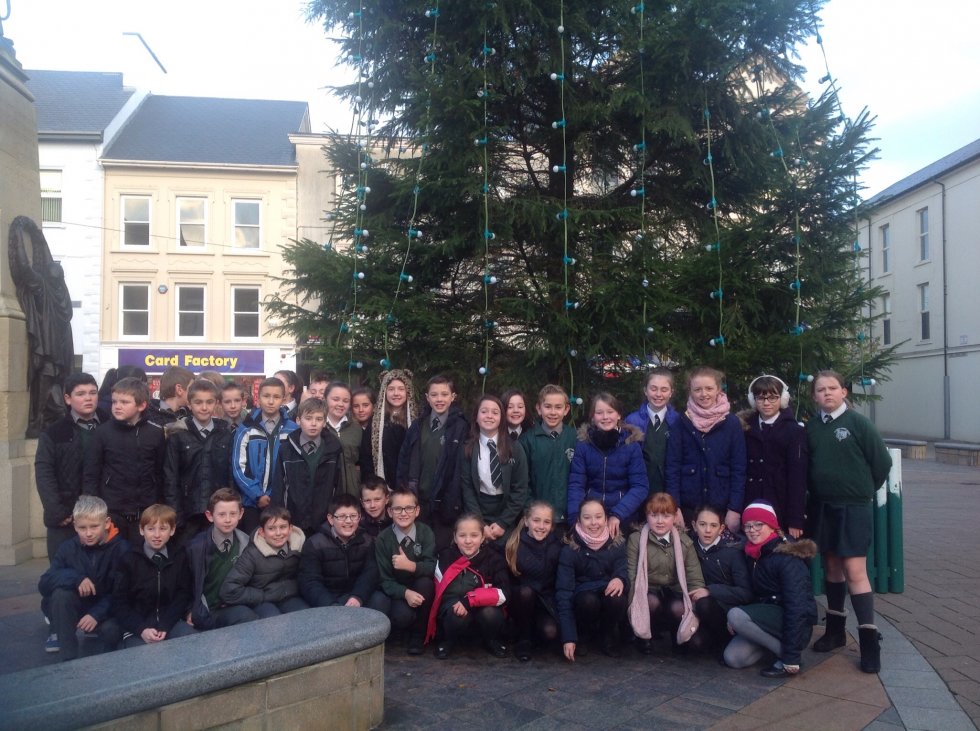 Christmas Tree Festival