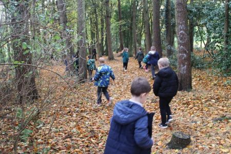 Outdoor Learning in our local forest