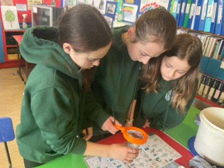 Classifying life in the River Bann