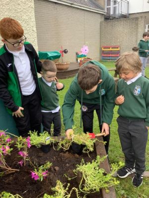 How does your garden grow?